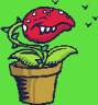 f7.gif